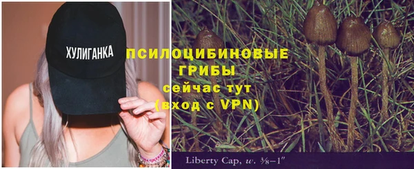 меф Алзамай