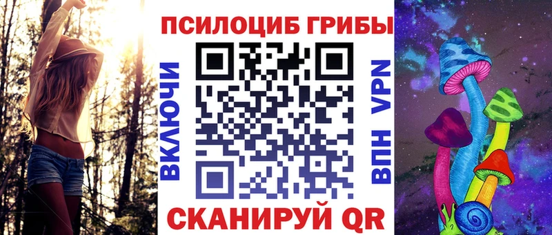 Псилоцибиновые грибы прущие грибы  Стародуб 